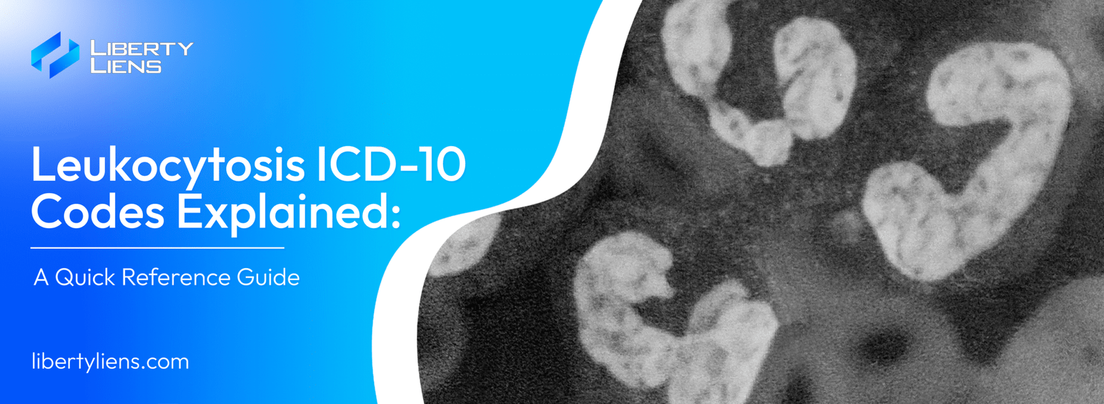 Leukocytosis ICD-10 Codes