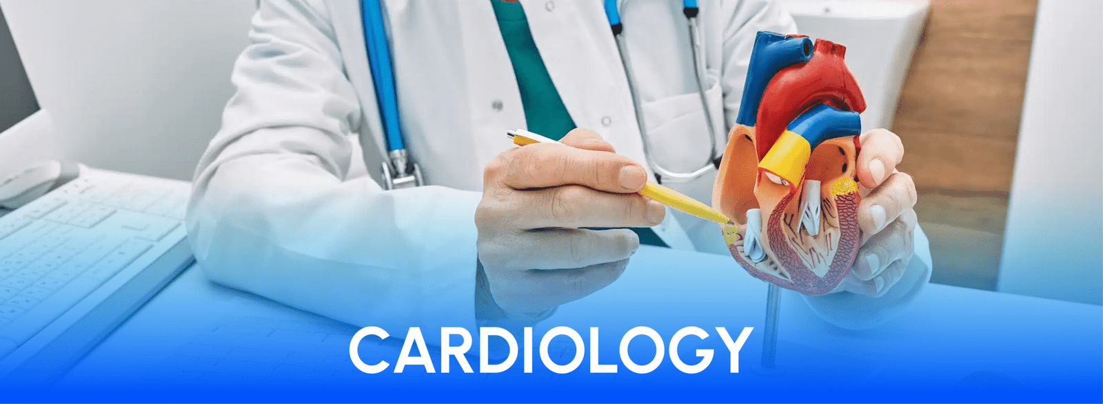cardiology medical billing service by liberty liens