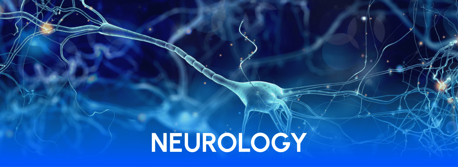neurology medical billing service by liberty liens